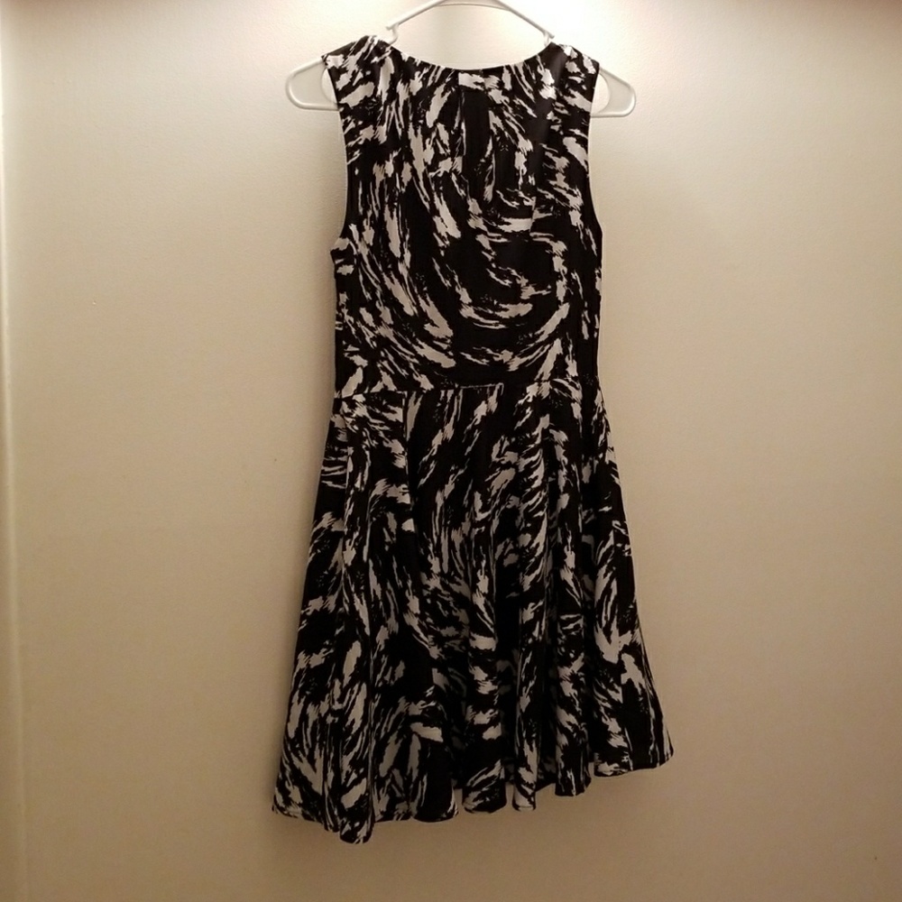Express Dress - Picture 2 of 4
